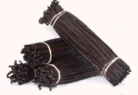 VANIGLIA BOURBON DEL MADAGASCAR 2 BACCELLI 16-18 CM 