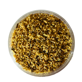 Sambuco_fiori_mercatodelgusto